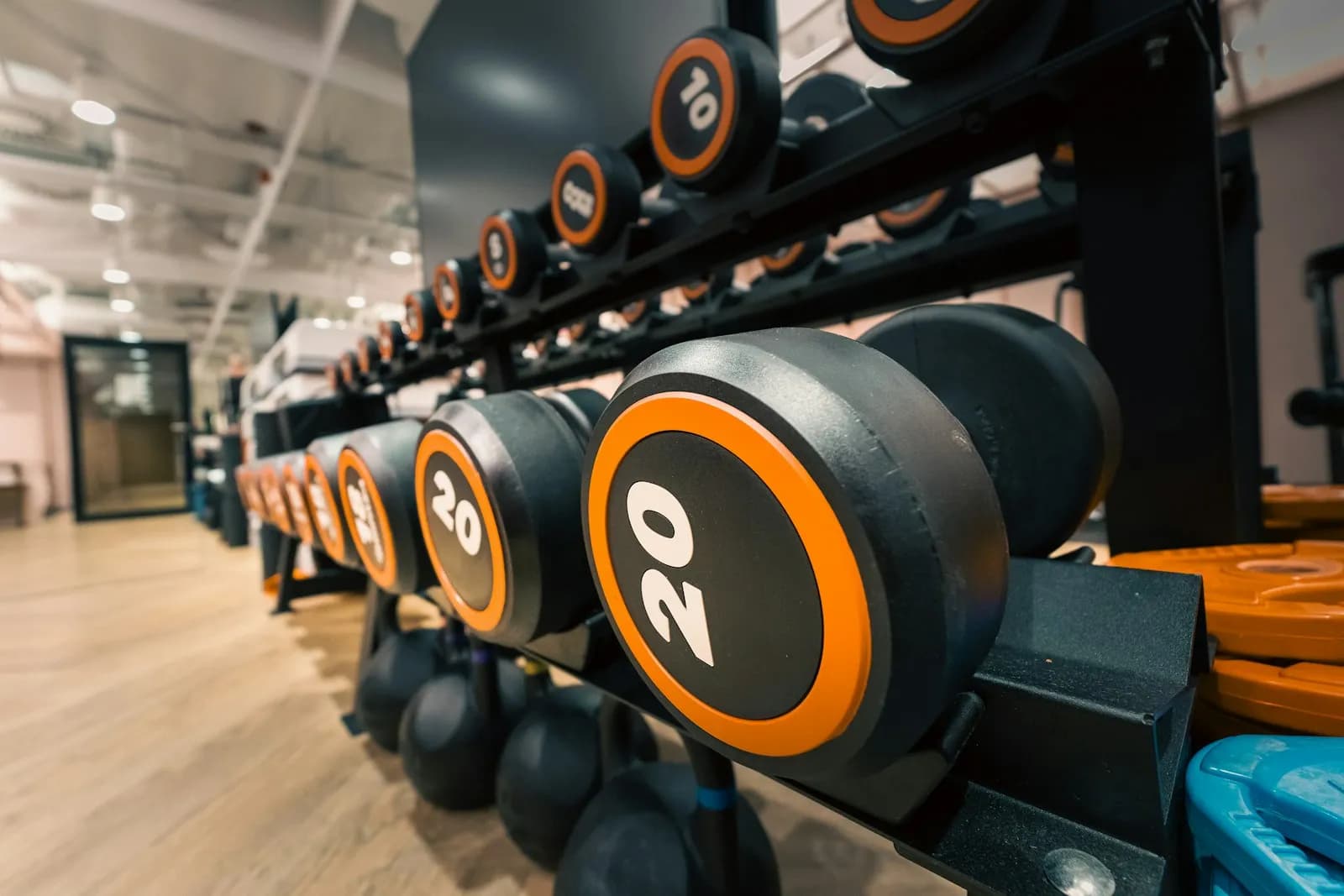 Servicios del gimnasio en Benidorm